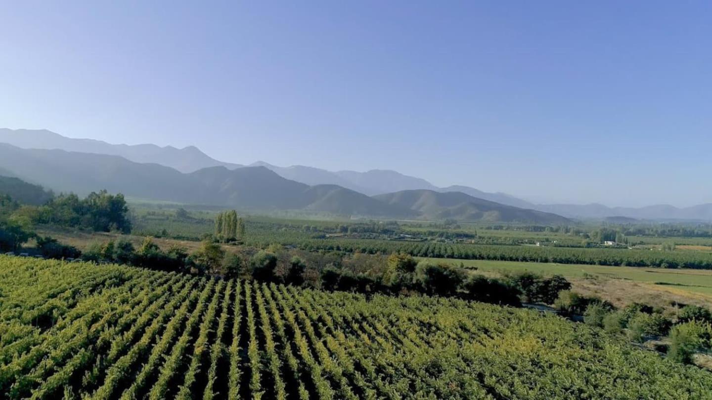 Vina Lof - Maipo Valley Bed & Breakfast In Winery Paine Eksteriør billede