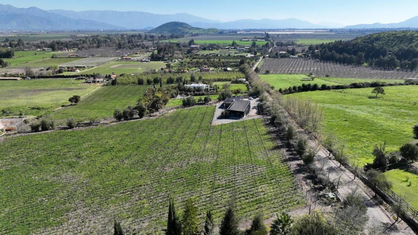 Vina Lof - Maipo Valley Bed & Breakfast In Winery Paine Eksteriør billede