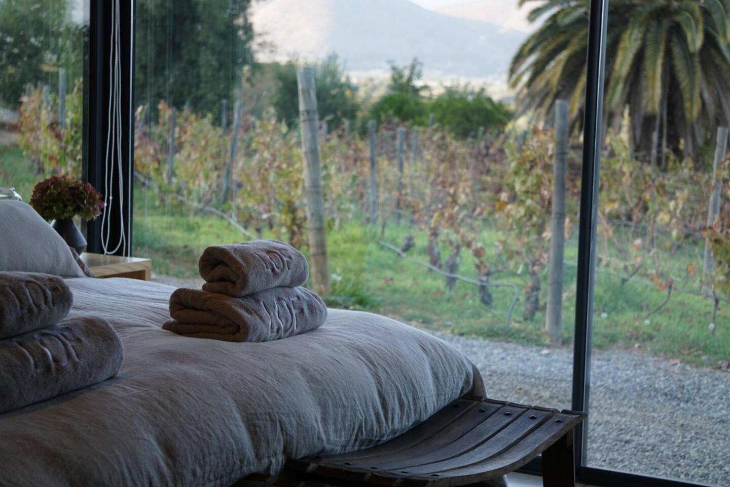 Vina Lof - Maipo Valley Bed & Breakfast In Winery Paine Eksteriør billede