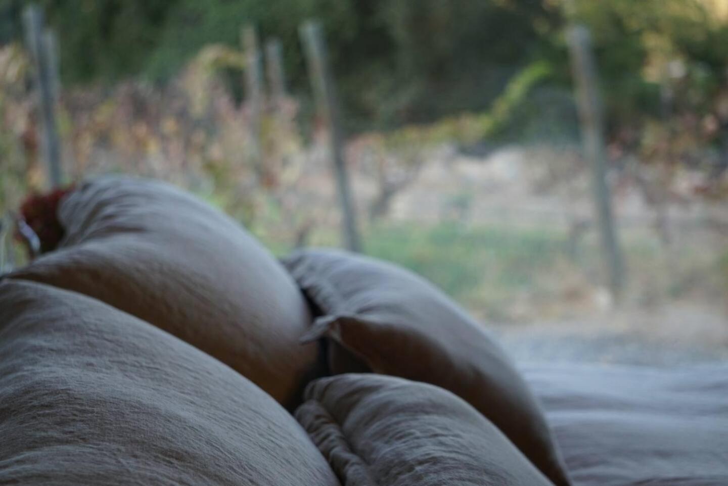 Vina Lof - Maipo Valley Bed & Breakfast In Winery Paine Eksteriør billede