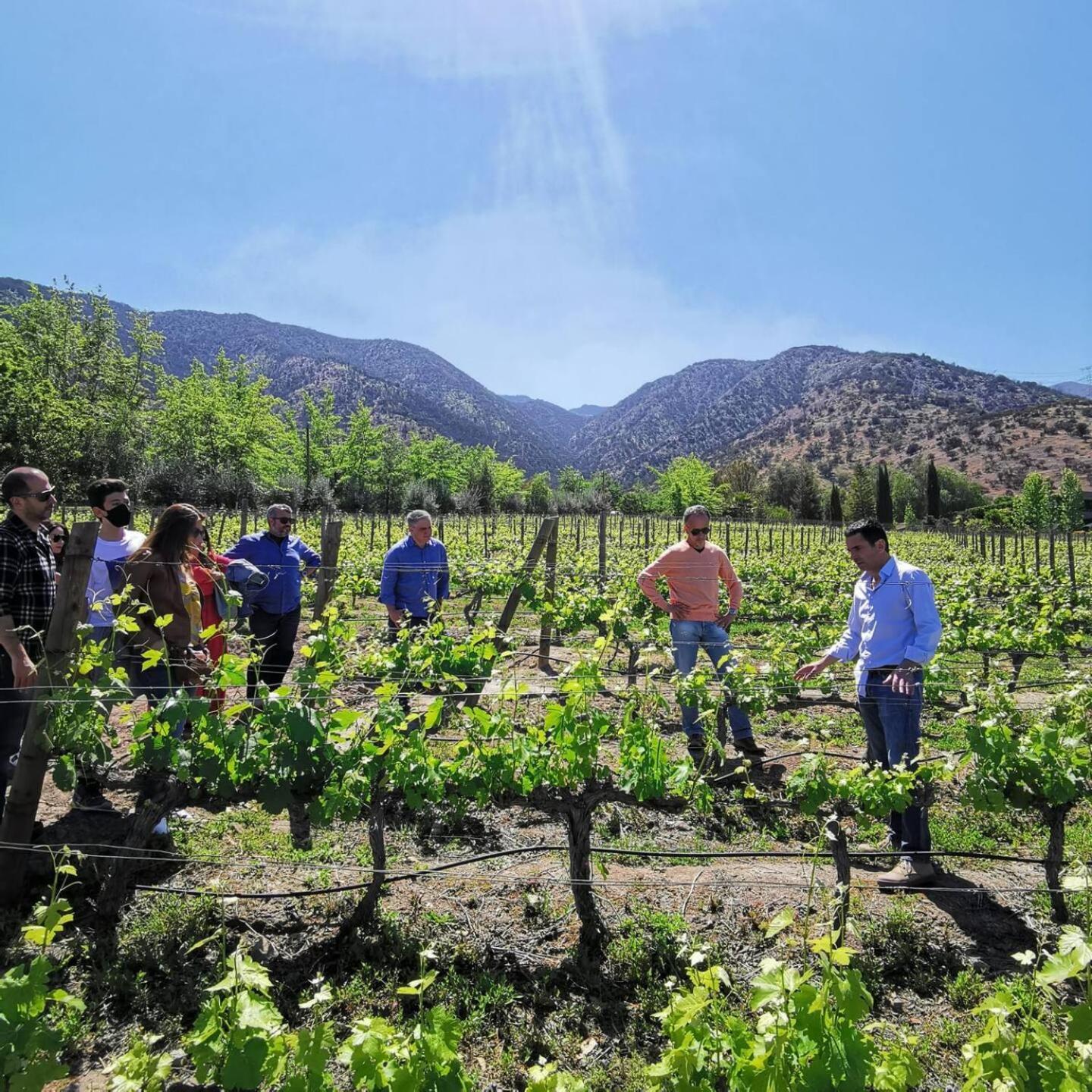 Vina Lof - Maipo Valley Bed & Breakfast In Winery Paine Eksteriør billede
