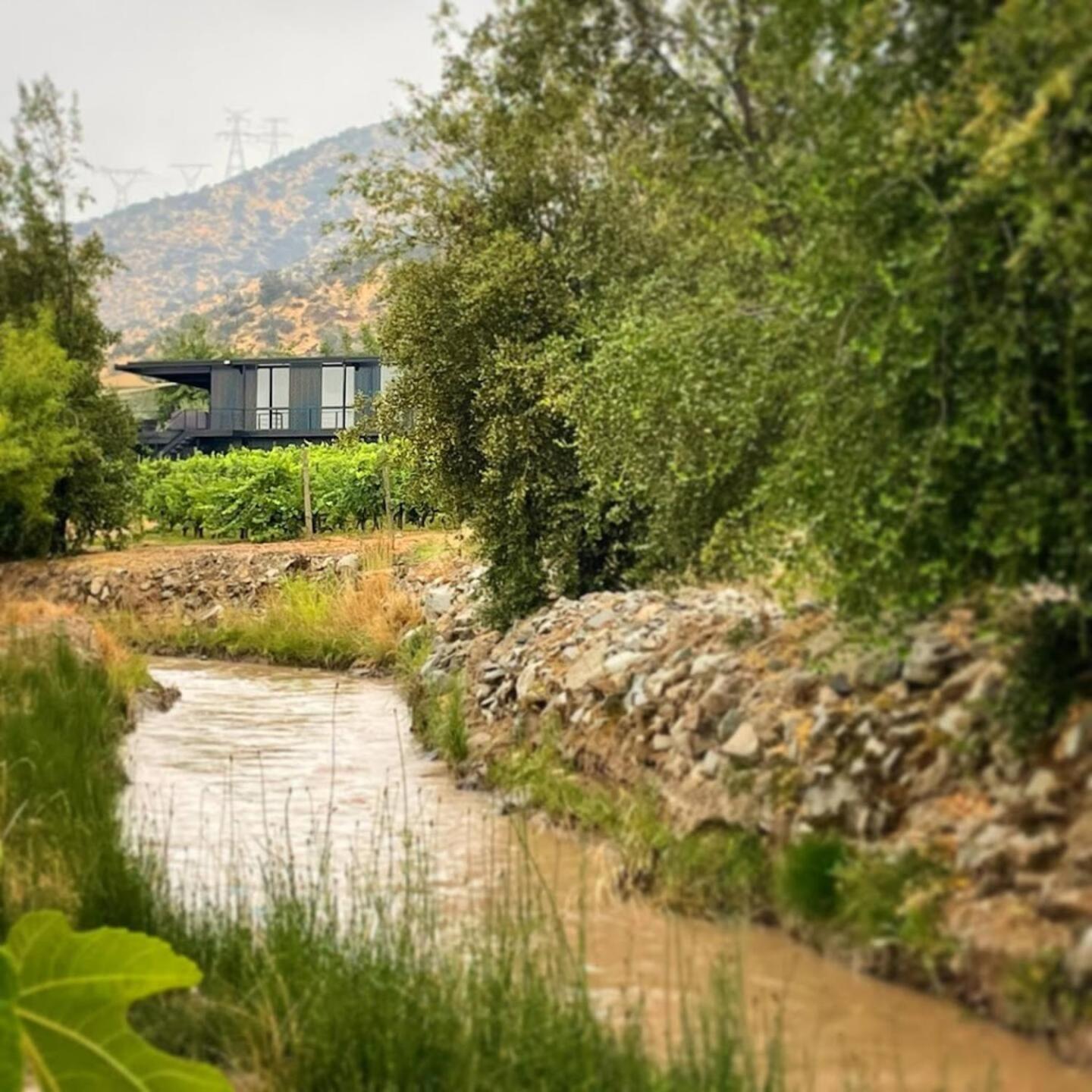 Vina Lof - Maipo Valley Bed & Breakfast In Winery Paine Eksteriør billede