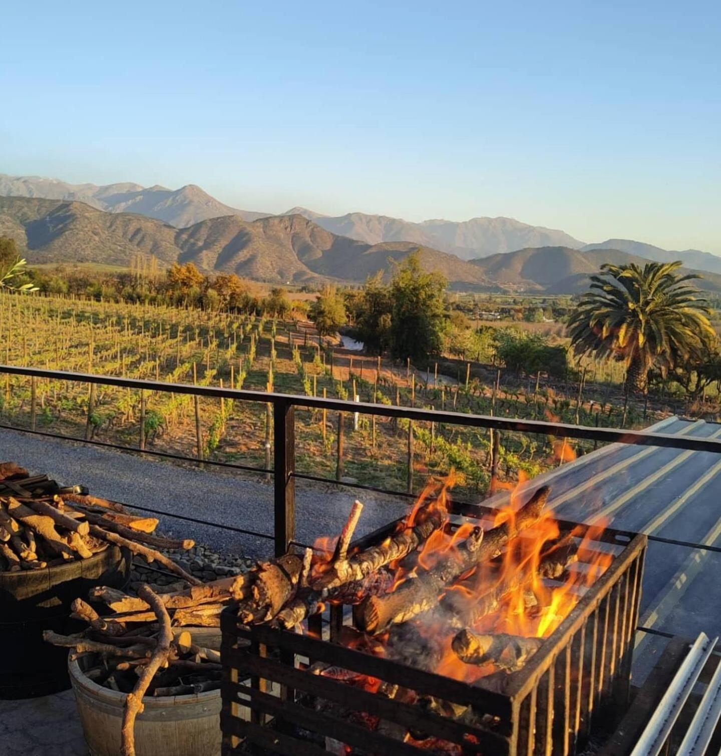 Vina Lof - Maipo Valley Bed & Breakfast In Winery Paine Eksteriør billede