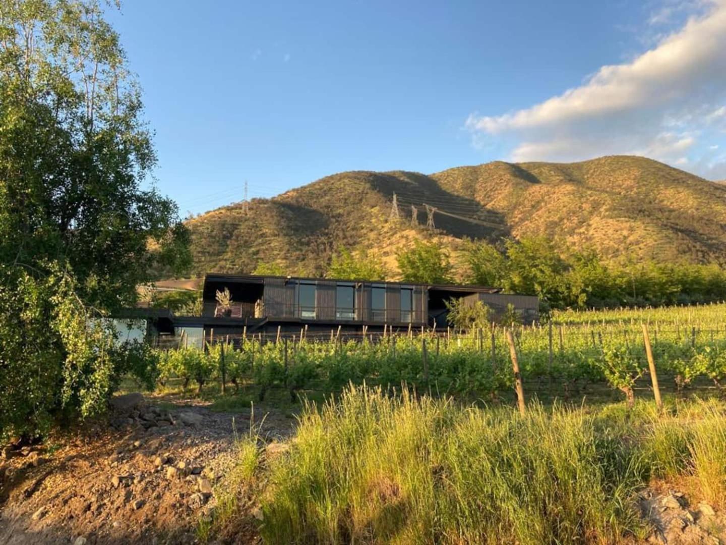 Vina Lof - Maipo Valley Bed & Breakfast In Winery Paine Eksteriør billede